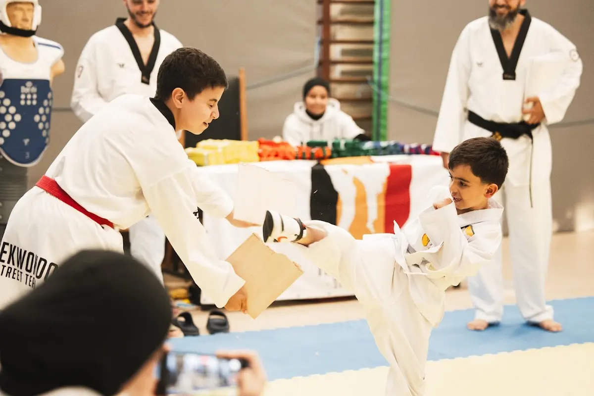 Taekwondo Street Team Anderlecht, Anderlecht