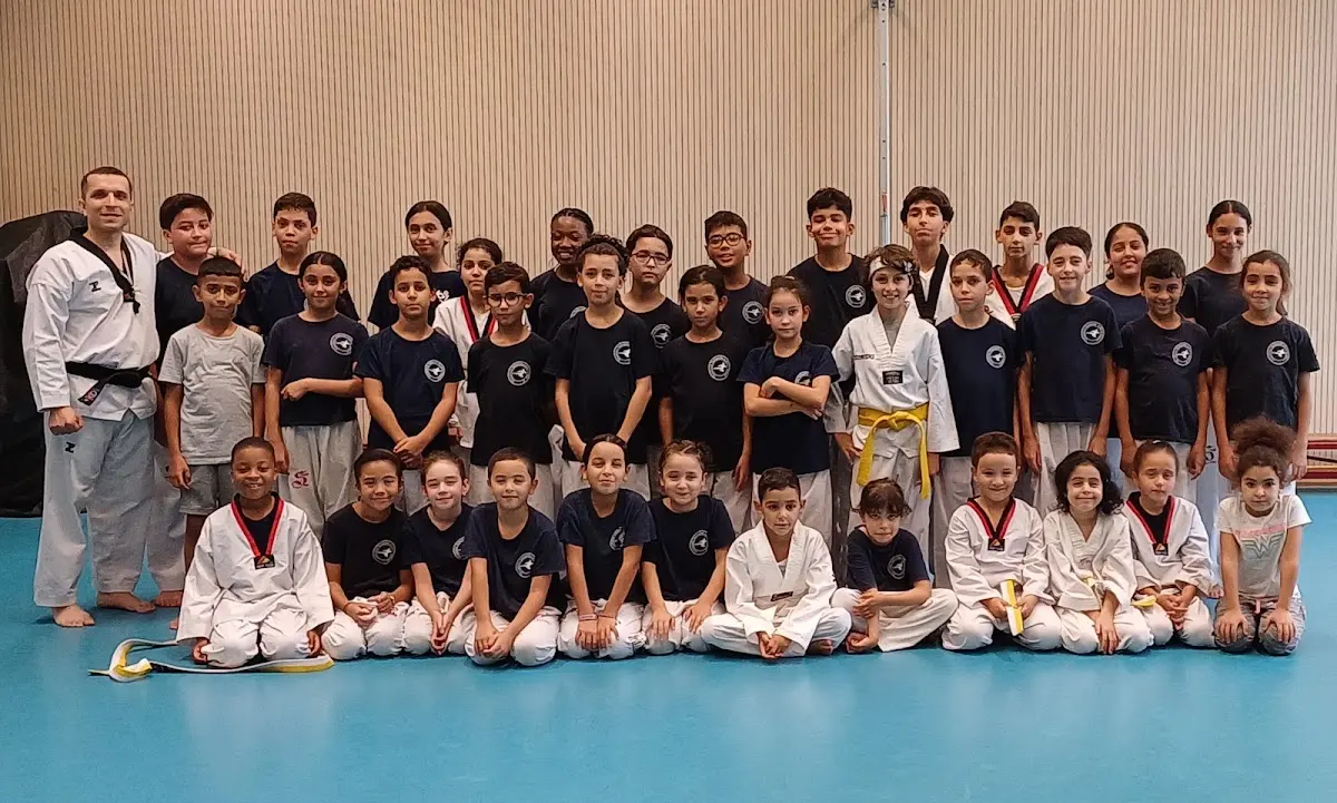 Cheonkwon Taekwondo Academy Anderlecht, Anderlecht