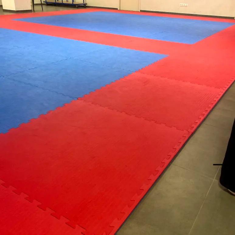 Taekwondo kyongju club, Anderlecht
