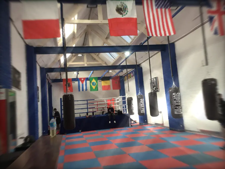 Miranda Boxing Academy, Anderlecht