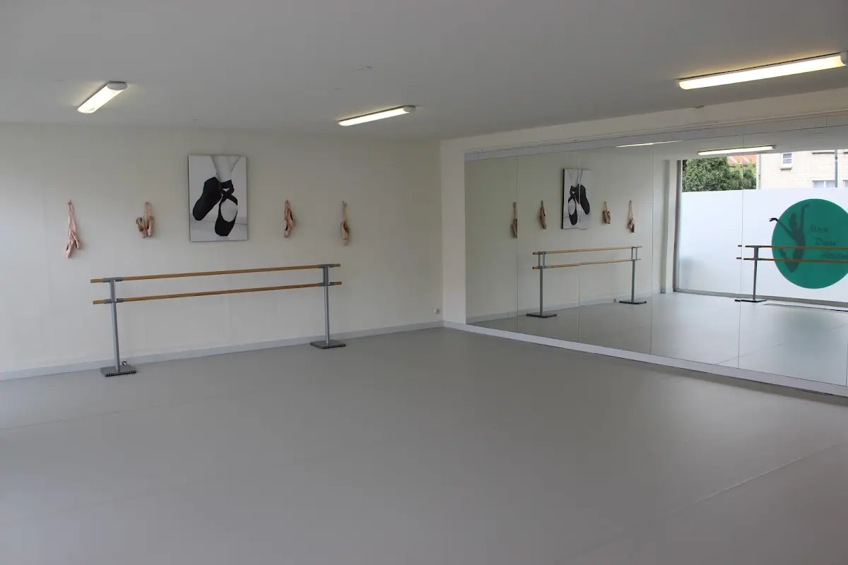 Move Danz'Attitude, Anderlecht
