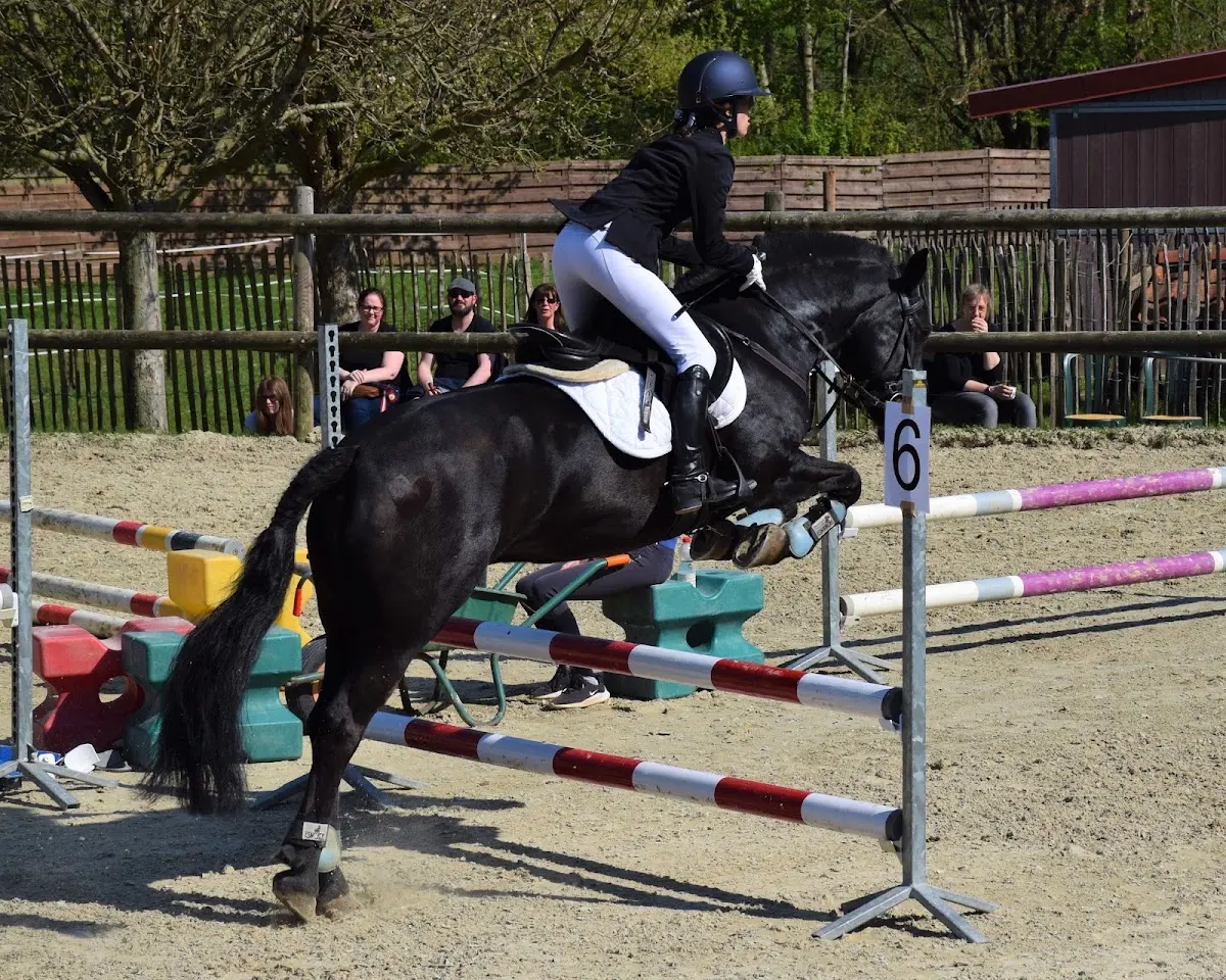 Pony club, Anderlecht